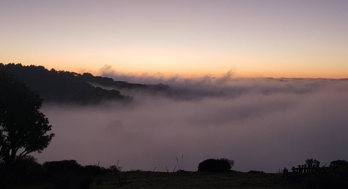 The fog is thinning over West County