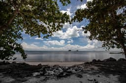 A rare benefit of soaring oil prices -- recycled plastic suddenly a bargain 