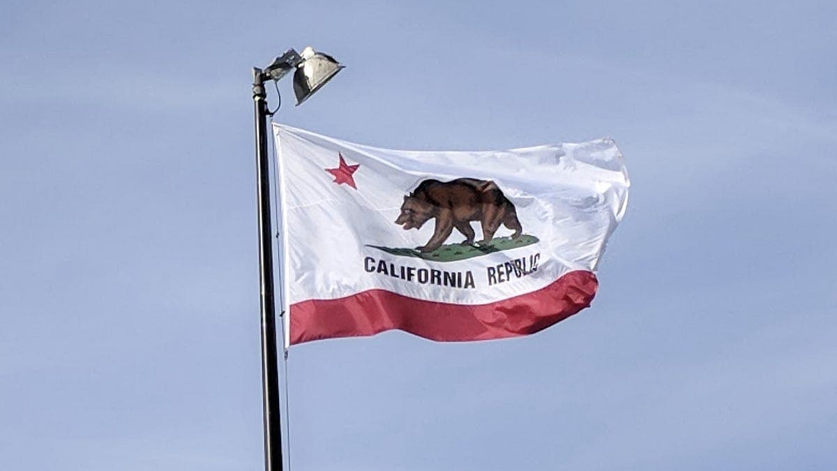 California Cities & Counties Ending Their Flock Contracts