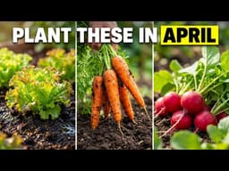 The 17 Most Productive Vegetables You Must Grow in April Before Its Too Late