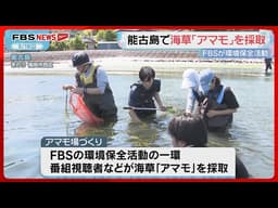 福岡市の能古島でアマモ場づくり活動　FBS視聴者などが参加