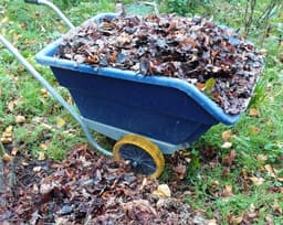 A bit more on mulching, soils and slowing the flow of water 