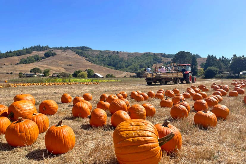 Marin Weekend Family Fun for October 2–4