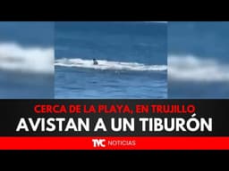 Avistan un tiburón cerca de la playa, en Trujillo, Colón