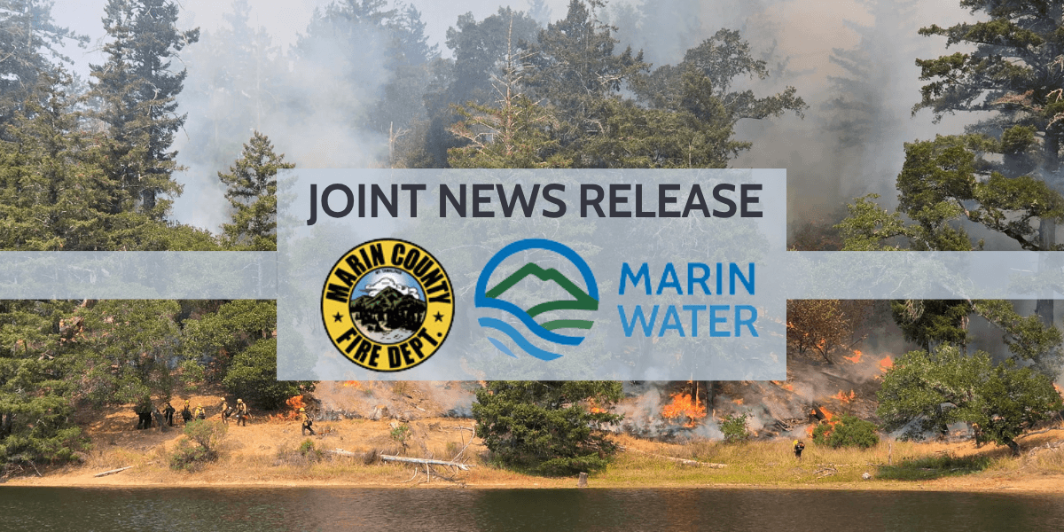 Prescribed burn near Bon Tempe Reservoir on Mount ...