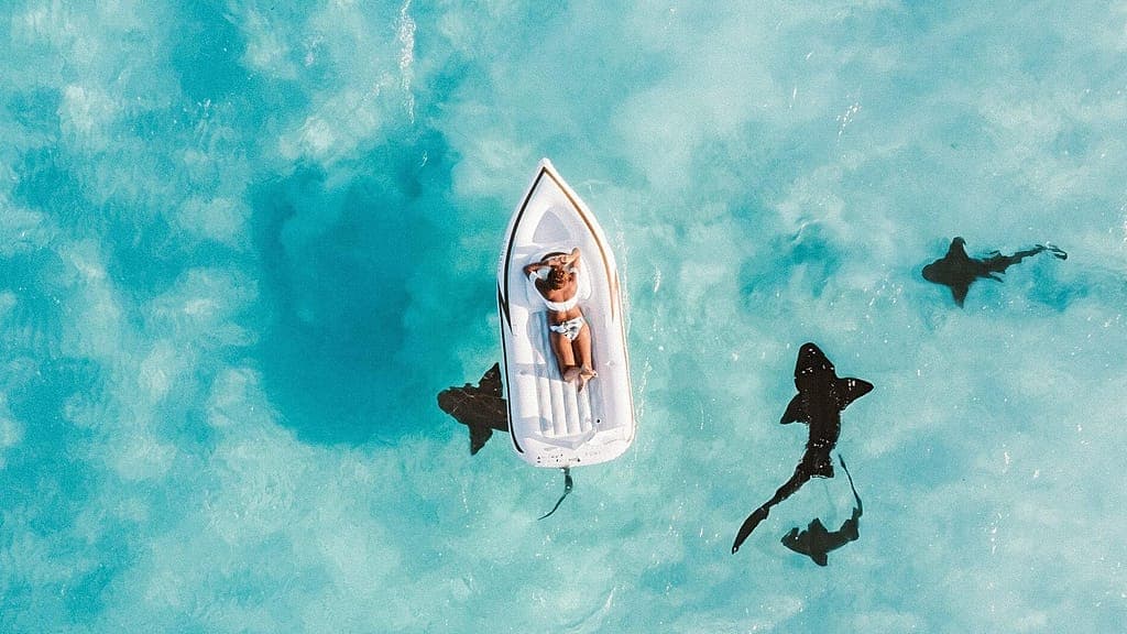 Points, perks and air miles: How 84% of travellers are ‘gaming’ loyalty schemes to save money - Yahoo News Canada