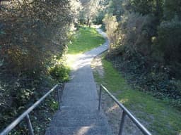 El Cerrito Hidden Paths and Parks Walk