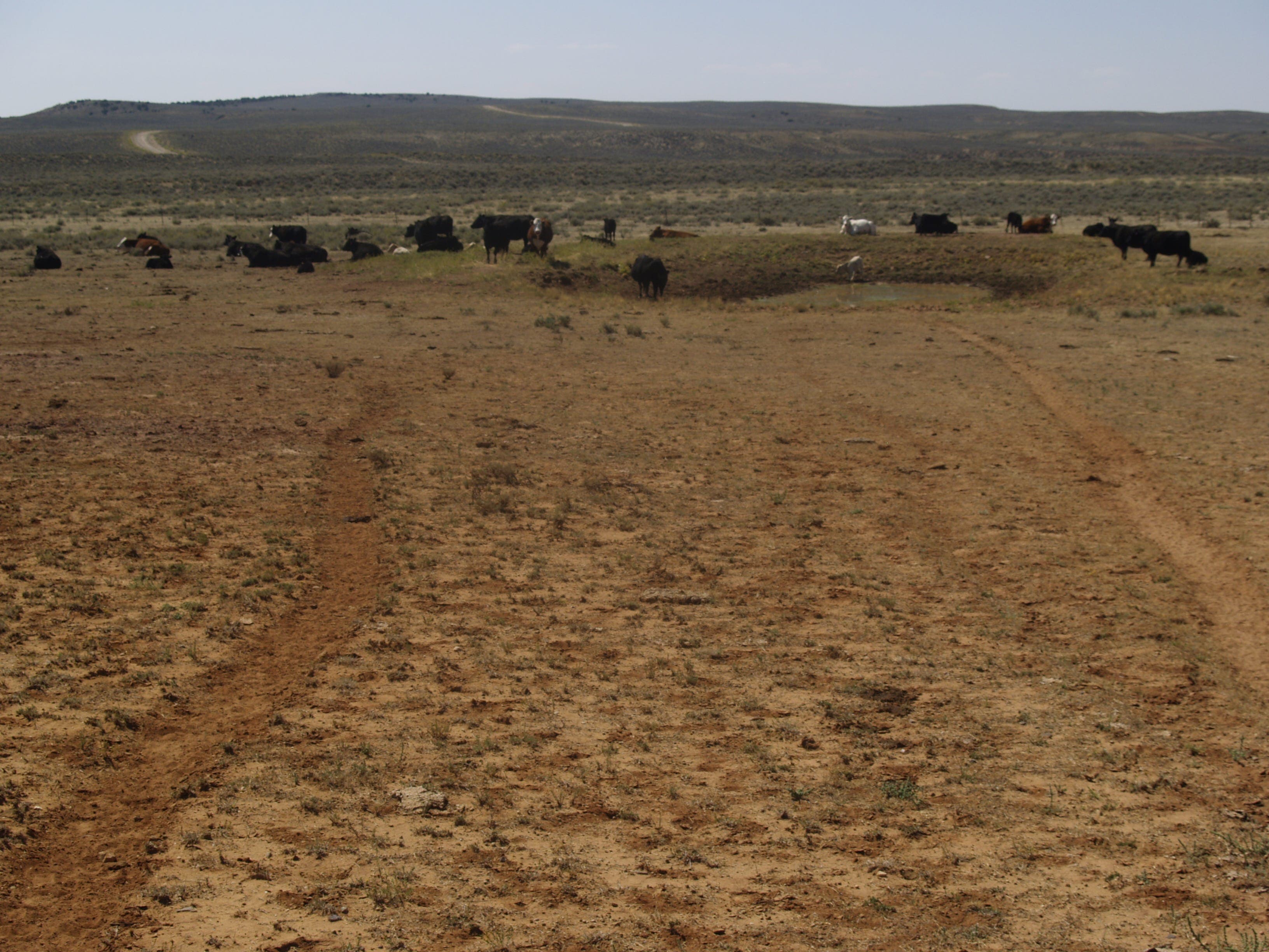 Public Lands, Private Use: Inside the USDA/DOI Grazing Action Plan