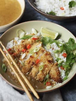 My Favourite Chicken Katsu Curry with Rice
