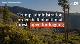 Do States Have a Secret Weapon to Counter Trump's Forest Service and Medicaid Cuts Before the Damage Becomes Permanent?