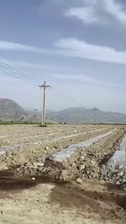 @Osinttechnical: Footage of Iranian police firing small arms at a pair of USAF HH-60Ws searching for the downed F-15E...