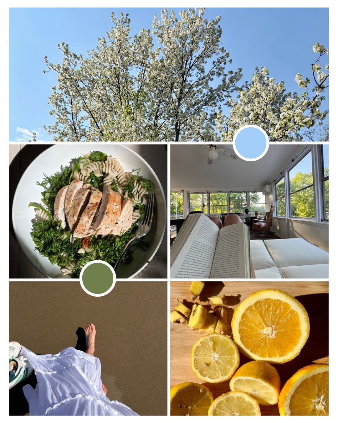 Why your digestion might be off, how to better manage stress and using food as medicine to live more balanced