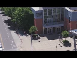 UC Davis students encounter young bear on campus