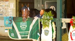 Belmont winner Golden Tempo to return to Saratoga for Jim Dandy, Travers
