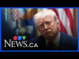 Trump ‘desperate to get the help he needs’ after latest rant on NATO allies, political analyst says