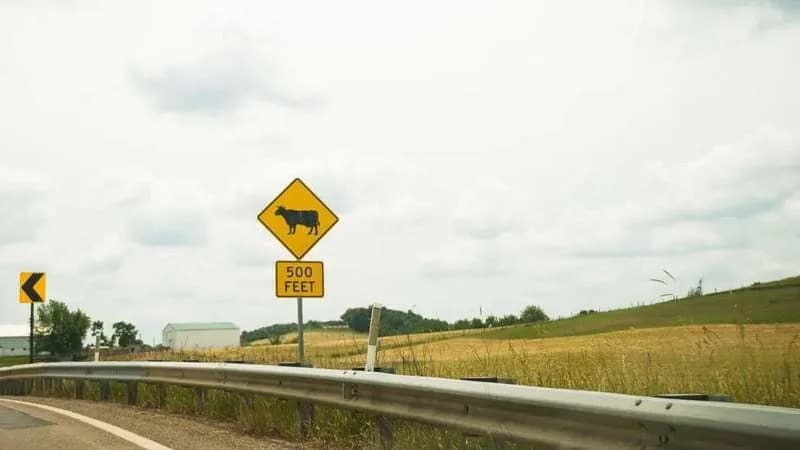 Farmland prime for data centers, but at what cost?