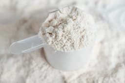 Best Protein for Muscle Retention in Aging