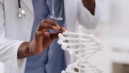 Frontiers | Artificial Intelligence for Precision Gene Therapy