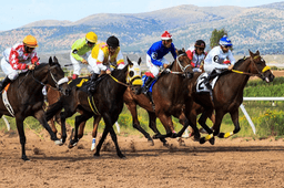 Key Betting Trends Emerging Across Global Horse Racing | The Sporting Base