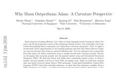 Why Muon Outperforms Adam: A Curvature Perspective
