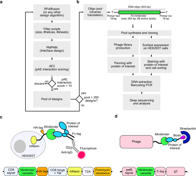 AI-enabled discovery and biochemical optimization of ...