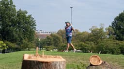 Trump bulldozes a golf course and the rule of law