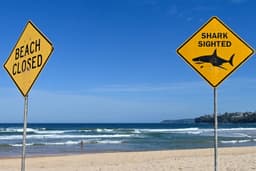 Teen in critical condition after shark attack at Sydney beach