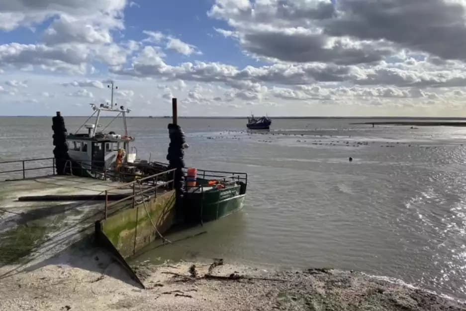 Leigh-on-sea Port Regeneration Have Your Say