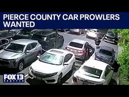 Deputies search for suspects in Pierce County car prowls | FOX 13 Seattle