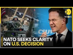 NATO Seeks Clarity On US Decision, Allies Concerned | WION News