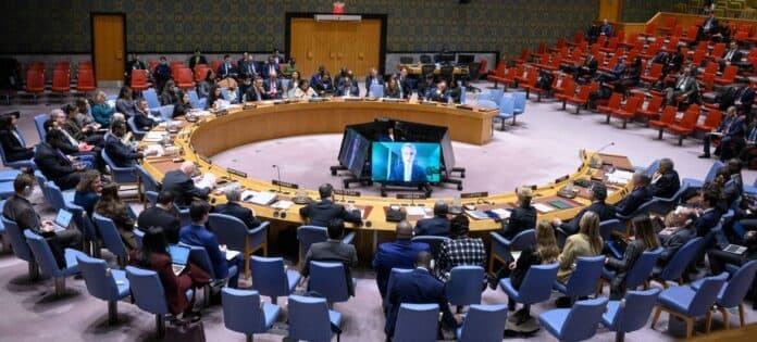 UN Security Council extends Haiti Gang Suppression Force
