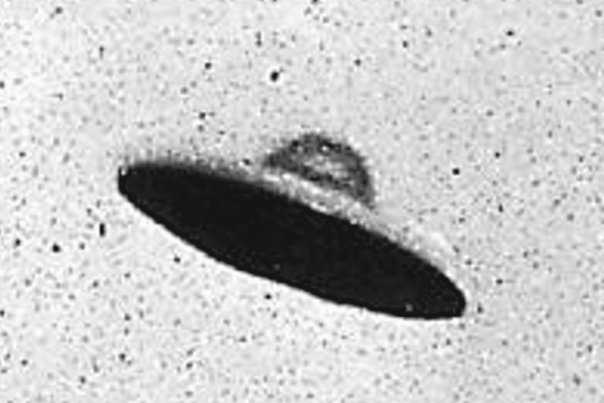 UFO Whistleblower Claims Humans Are Sharing Earth ...