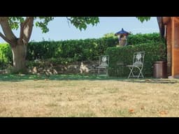 Lawn and garden care during a drought | 2 Wants to Know