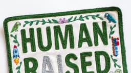 How to raise humans in the age of AI