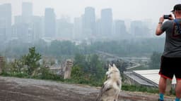 Air quality alerts to become routine without climate action, University of Waterloo study says | Watch