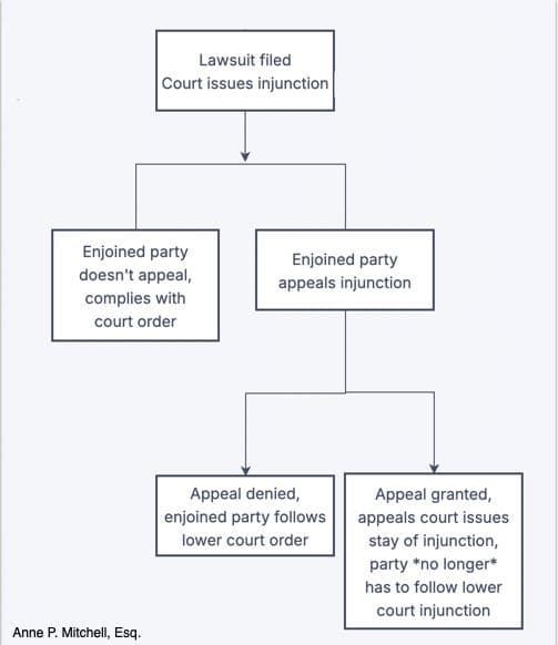 Here's Why it Sometimes *Looks* Like the Administration isn't Following Court Orders When They Actually Are: Stays Explained