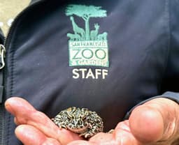 SF: San Francisco Zoo Offers Free Weekday Admission For Children In June