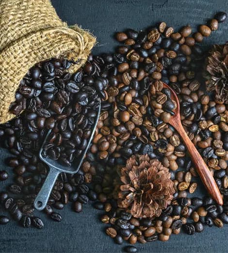 Best Single Origin Coffee Beans of 2026: 6 Tested & Ranked