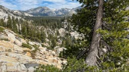Finding Inspiration in Yosemite