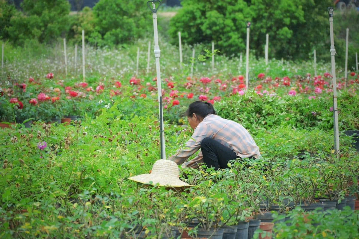 短时 micro-QT 与每日灵修占据首要推荐位
