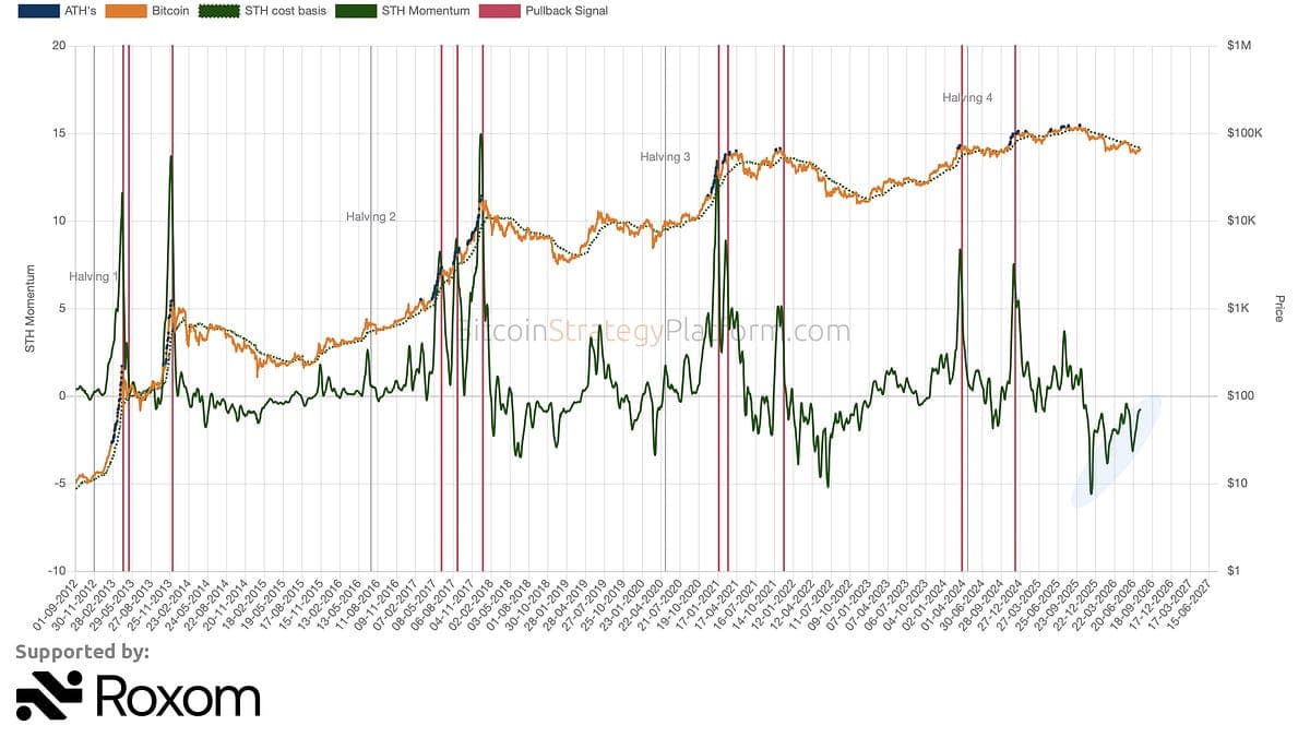 Analyzing STH & LTH Behavior - by Root - BitcoinStrategy