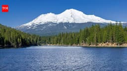 China's forests with the greatest tree diversity were better at ...