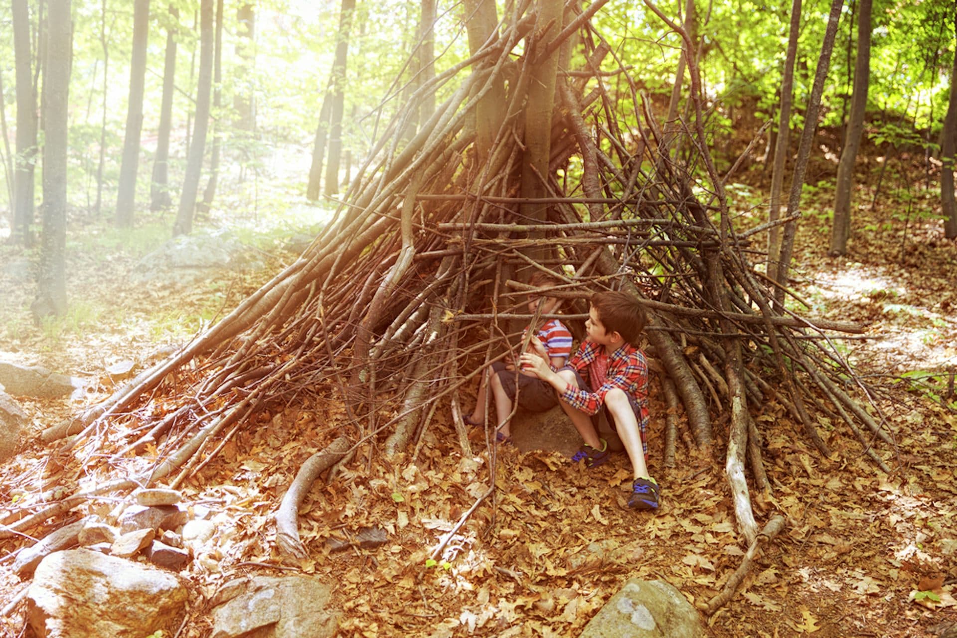 Construire des cabanes : un jeu d'enfants qui interroge nos ...