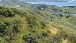 8.5 mi Coastal Trail to Bobcat Trail Loop