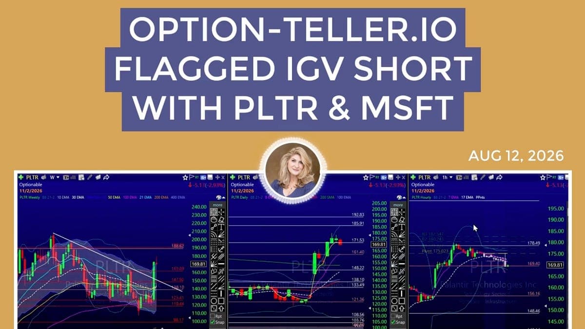 OPTION-TELLER.IO FLAGGED IGV SHORT WITH PLTR & MSFT