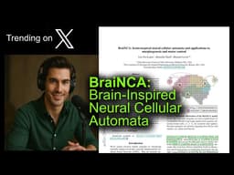 BraiNCA: Brain-Inspired Neural Cellular Automata