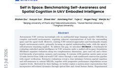 Self in Space: Benchmarking Self-Awareness and Spatial Cognition in UAV Embodied Intelligence