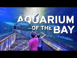 🦈 Aquarium of the Bay 🪼 with Kids in San Francisco - Full Tour: Sharks, Otters, Jellyfish & More