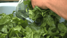 Parasite found in common produce sickens 177 in Ohio ...