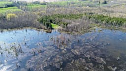 Escarpment Biosphere Conservancy and ...